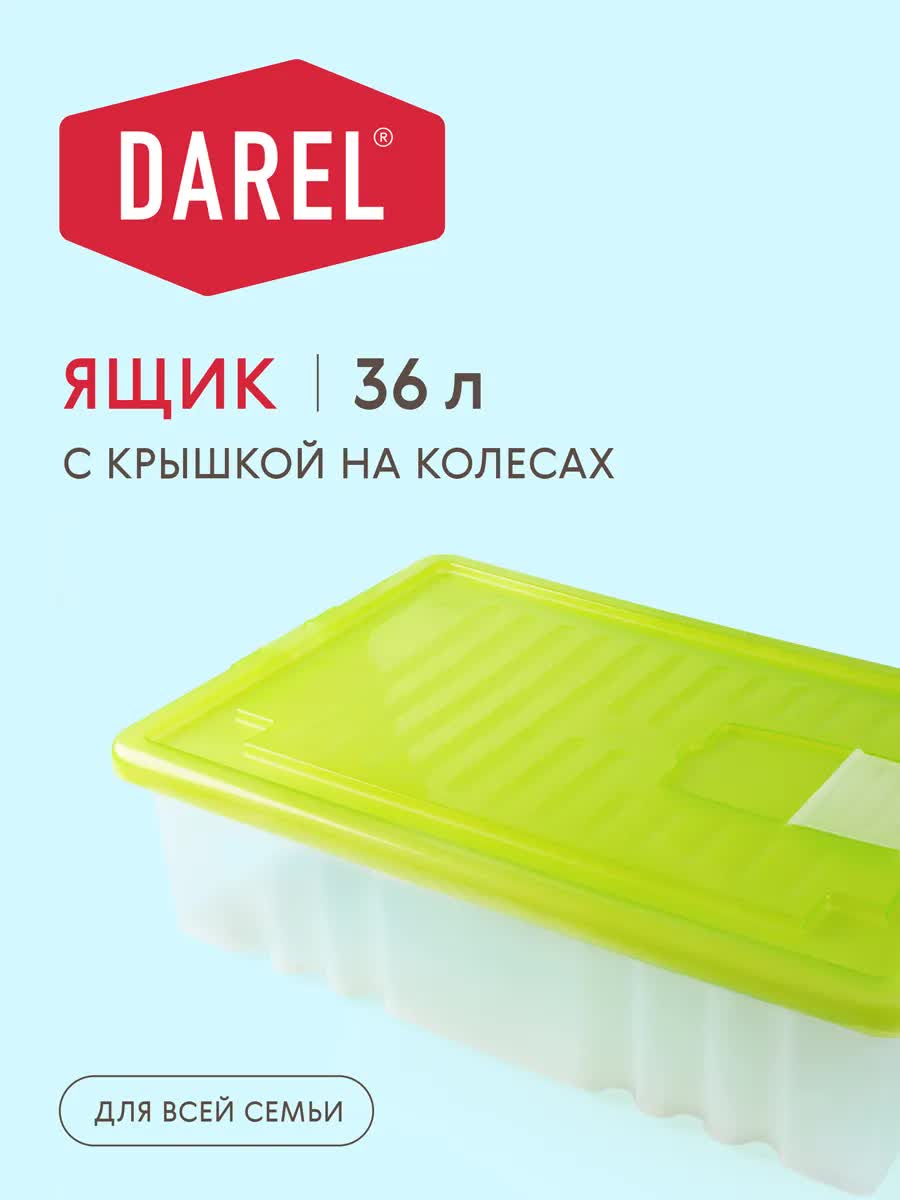 Контейнер Darel DarelBox 36л