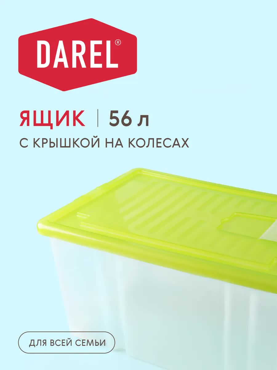 Контейнер Darel DarelBox 56л