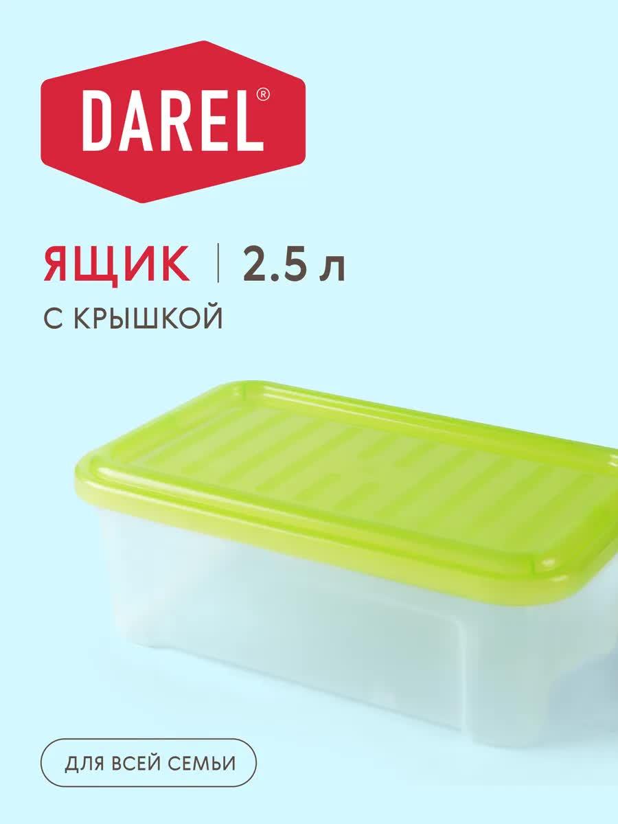Контейнер Darel DarelBox 2,5л